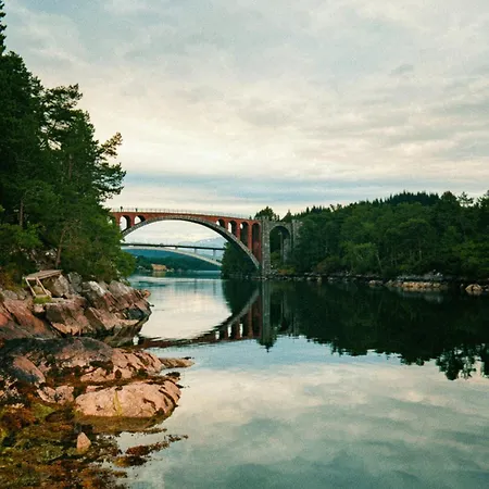 Forest By The Water * Ålesund