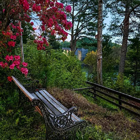 Forest By The Water Ålesund